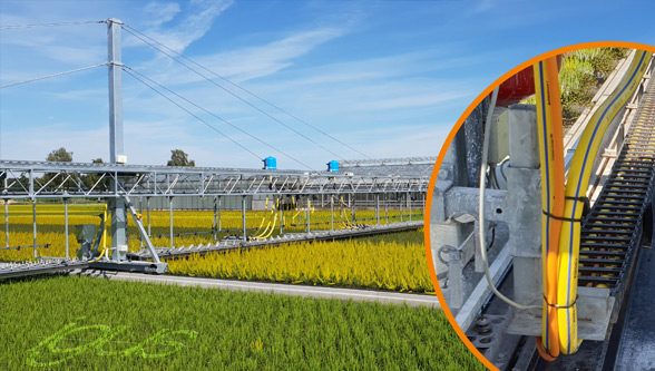 Igus Roller E-chain For Targeted Irrigation With Savings Potential